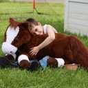 Tezituor 47 Inch Giant Realistic Horse Stuffed Animals, Hugging Soft 4ft Stuffed Horse Plush Body Pillow for Sleeping, Large Chocolate Stuffed Pony Farm Toy Birthday Party Decor for Girlfriend