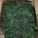 9FT Real Touch Cedar Garland - Artificial Christmas Garland Fake Green Faux Thick and Lush Pine Needles Garlands for Table Fireplace Mantle Holiday Home Indoor Outdoor Decor (1PCS)