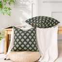 Green Throw Pillow Covers 20x20 Decorative Floral Throw Pillow Covers Accent Green Pillowcase 20x20 Set of 2, Vintage Floral Velvet Cushion Case Neutral Boho Farmhouse Pillowcase for Sofa Couch Bed