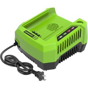 Greenworks PRO 80V Lithium Ion Single Port Rapid Battery Charger GCH8040
