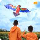 ORGCLDKT- 3D Lifelike Style Bird/Eagle Kite, Super Easy to Fly with, Ideal for Kids, Adults, Girls, Boys. Kites for The Beach, Grassland, Hiking (59")