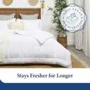 Cosy House Collection Luxury Down Alternative Comforter - Blend of Rayon Derived from Bamboo - Dorm Room Essentials - All Season Use - Box Stitch Construction & Duvet Loops (Twin/Twin XL, Cream)