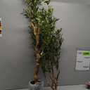 Faux Olive Tree 6ftOlive Trees Artificial Indoor with Natural Wood Trunk and Realistic Leaves and Fruits. 6 Feet(72in) Fake Olive Tree for Home House Office Dcor.