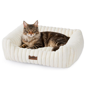 Large Cat Beds - Orthopedic Dog Bed for Medium Dogs, Rectangle Pet Bed with Fluffy Removable Washable Cover, 25x21x9inches, Cream 