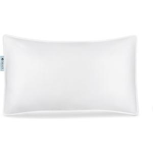 Choice Hotels Authentic Luminesse Hypoallergenic 20x28 Inch Luxury SOFT Pillow for Sleeping, Standard Queen Size Pillow for Side, Back and Stomach Sleepers (1, 20X28)