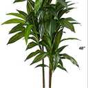 Nearly Natural 48in Dracaena Silk Plant (Real Touch) Green