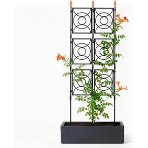Trellis for Climbing Plants Outdoor, 24 Rifny Tall Garden Trellis Flower Rose Cucumber Trellis for Vines Pea Support, Wall Large Plant Trellis Fence with Plastic Screen Frame, 2 x 6.2 FT