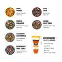 Tiesta Tea Ultimate Live Loose Leaf Kit, Tea Starter Kit with High to Non-Caffeinated Blends, Hot & Iced Brews, Includes Black, Green, Herbal Sample Bags and 16oz Brewmaster Dispensing Infuser (EXP 10/11/27)